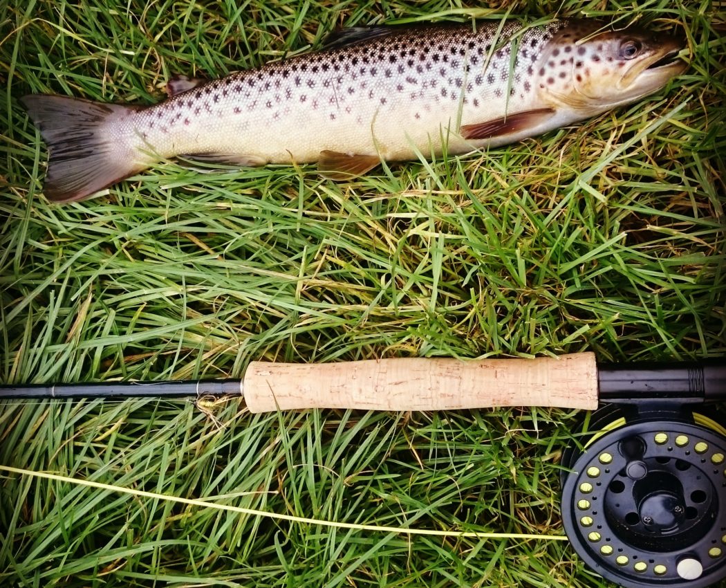 Roll Cast Fly Fishing Guided fly fishing in Derbyshire and Yorkshire