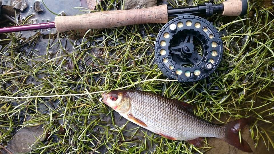 About Roll Cast Fly Fishing Roll Cast Fly Fishing