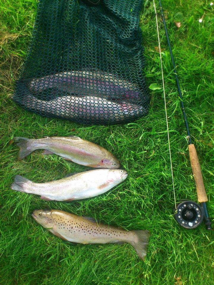 Roll Cast Fly Fishing Guided fly fishing in Derbyshire and Yorkshire
