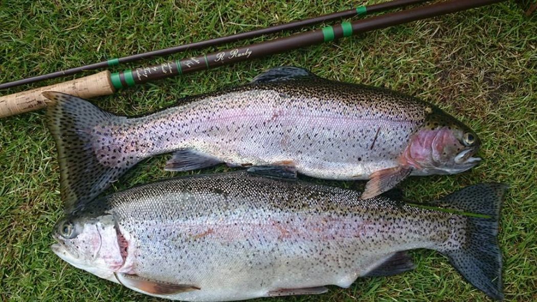 About Roll Cast Fly Fishing Roll Cast Fly Fishing